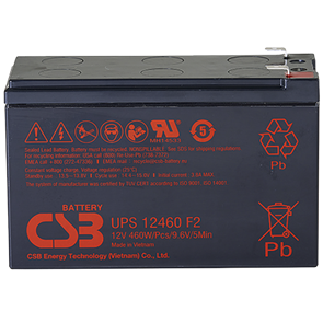 CSB UPS 12460