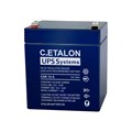 C.ETALON CHR 12-5 1696483040 - фото 6843